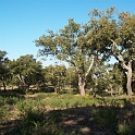 2009_portugal 195